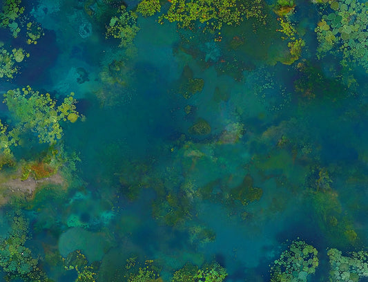 4 18x23 Swamp Mats on Canvas