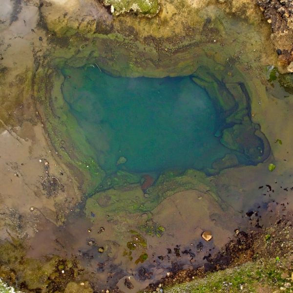 Vol1: Swamps and Ponds