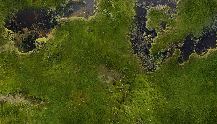 Vol 1: Ground, Lava, and Gysers