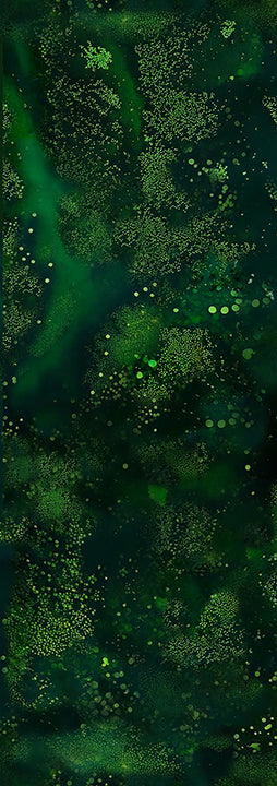 Vol1: Swamps and Ponds