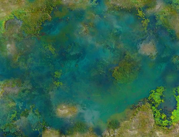 Vol1: Swamps and Ponds