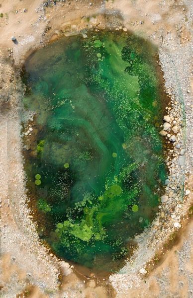 Vol1: Swamps and Ponds
